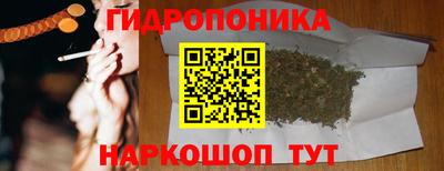 гашик Краснознаменск