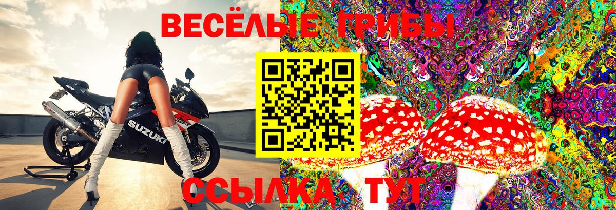 Галлюциногенные грибы прущие грибы  Вход с VPN  Ейск 