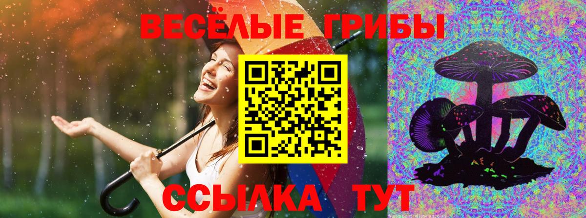 Псилоцибиновые грибы мухоморы Ейск